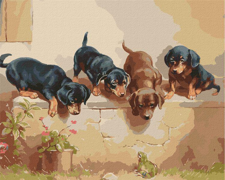 Картина по номерам Идейка Неожиданная встреча 40x50 см (KHO4348)