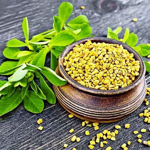 Насіння Пряна культура Пажитник (10254)