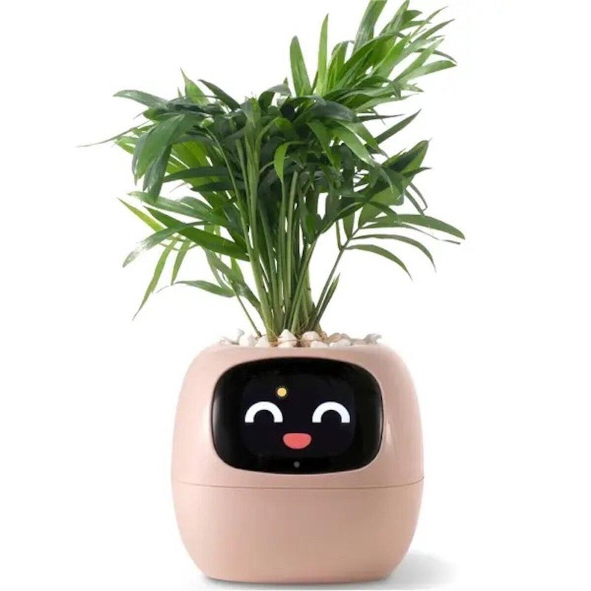 Горщик для рослин розумний інтерактивний Ivy Smart Planter Tuya AI Li-ion 2000 mAh Type-C Pink (38522) Горщик для рослин розумний інтерактивний Ivy Smart Planter Tuya AI Li-ion 2000 mAh Type-C Pink (38522)