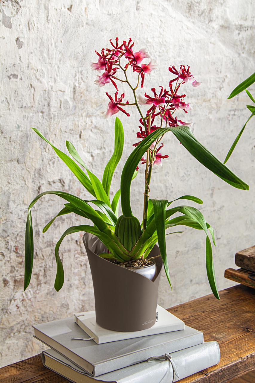 Вазон Lechuza Orchidea 20 см Сіро-коричневий (A-014789) - фото 3