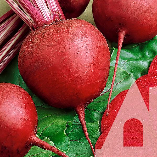 Буряк столовий Червона куля, 1 кг, Садиба