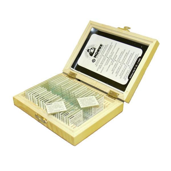 Набір мікропрепаратів Konus Ботаніка: Мохи, папоротеві, голонасінні 25 шт. (25072098)