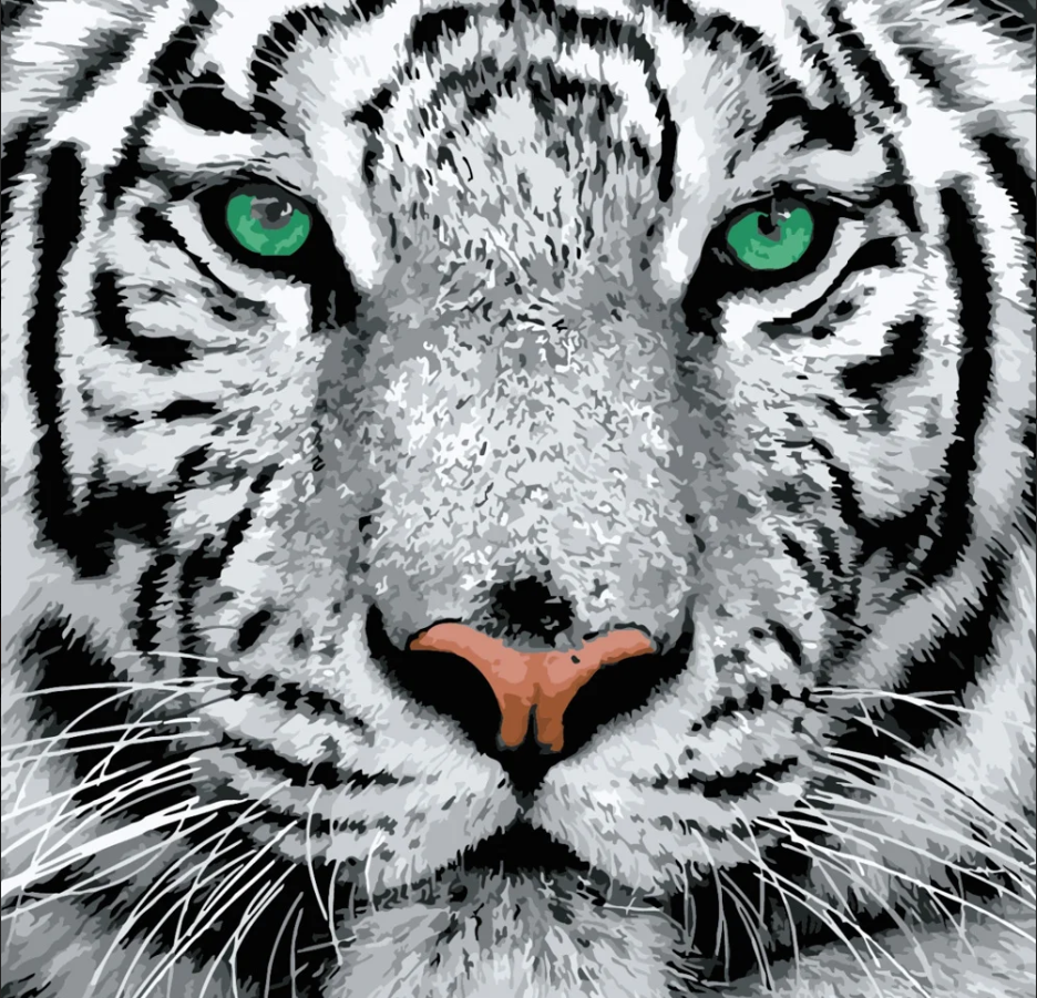 Картина по номерам Strateg Белый тигр 40х40 см (SK023)