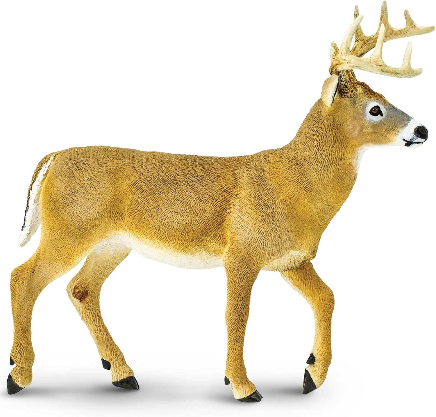 Фигурка Safari Ltd Белохвостый олень XL (23361389)