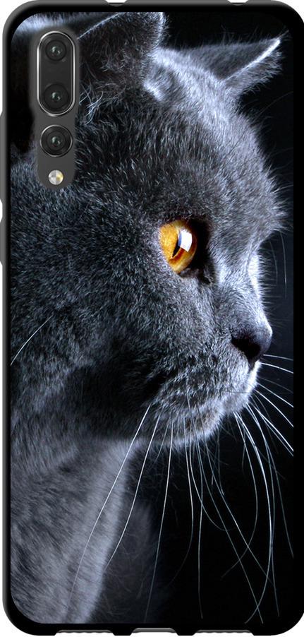 Чехол на Huawei P20 Pro Красивый кот (3038b-1470-42517)