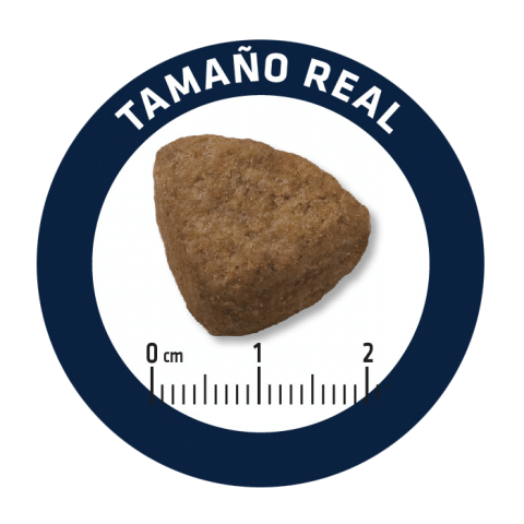 Корм сухий для дорослих собак Advance Maxi з куркою та рисом 18 кг - фото 2 Корм сухий для дорослих собак Advance Maxi з куркою та рисом 18 кг - фото 2