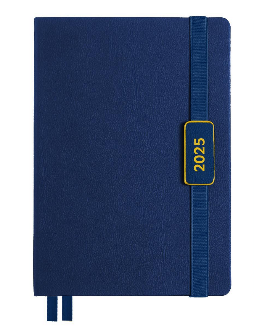 Ежедневник Leo Planner Dignity датированный/2025 год А5 368 стр. (252533) - фото 1