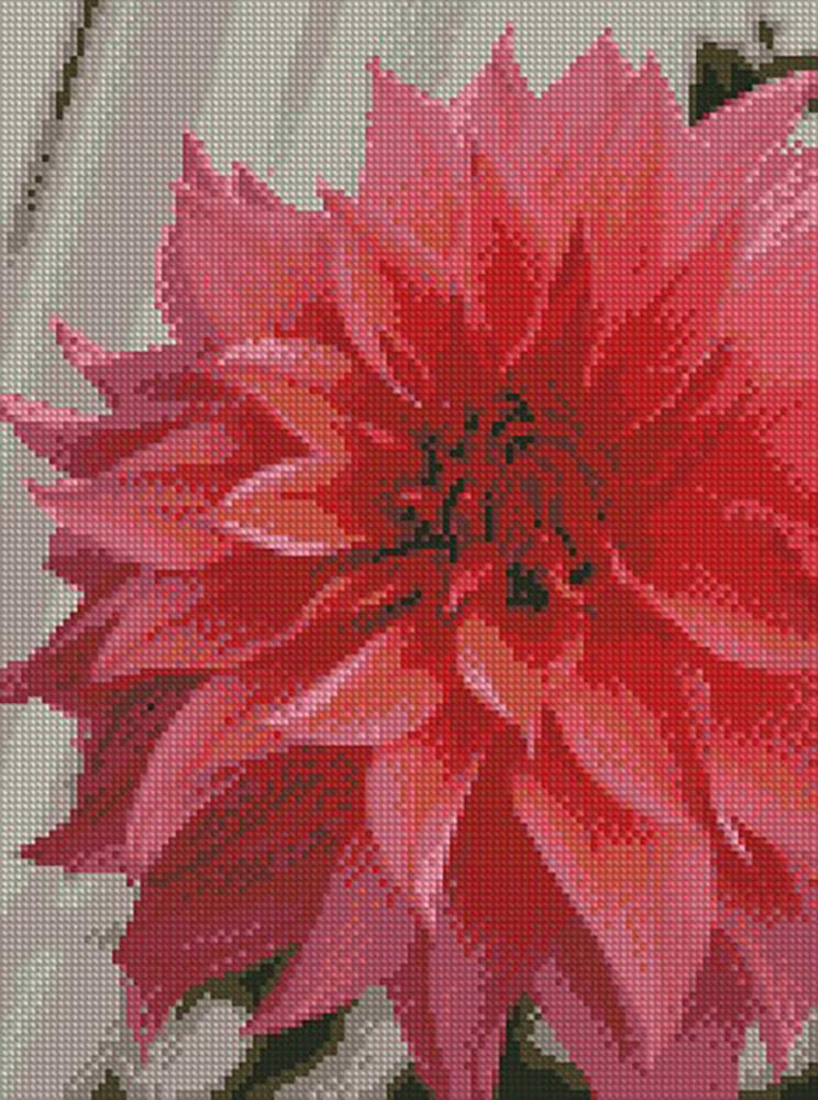 Алмазная мозаика Идейка Волшебный георгин 30x40 см (AM6104)