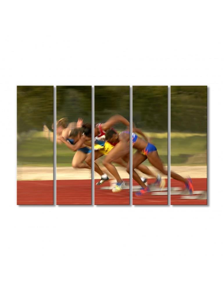 Картина модульная Рывок 5 модулей 70x105 см (112441sport_i_otdyh)