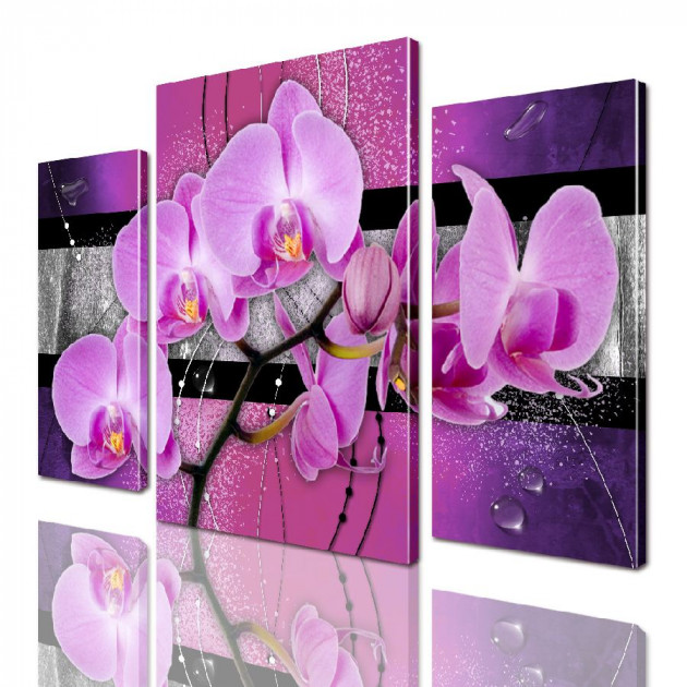 Картина модульная ArtStar ADFL0140 150х180 см 3 части