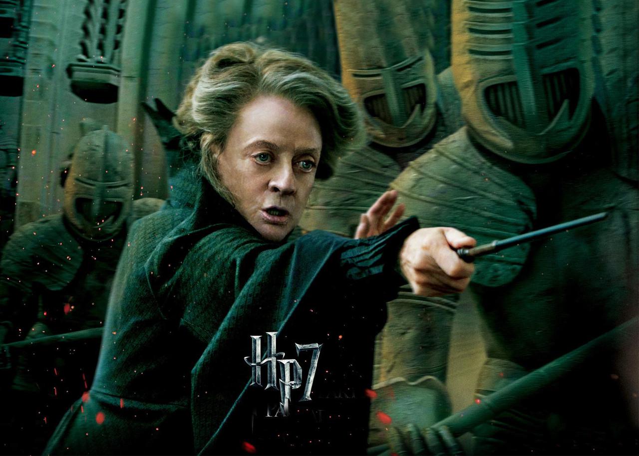 Картина постер Gee! Harry Potter Гарри Поттер Макгонагалл 60х40 см HP 09.009