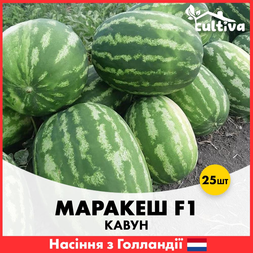 Семена арбуза Ergon Seed Марракеш F1 25 шт. (R51112_25)