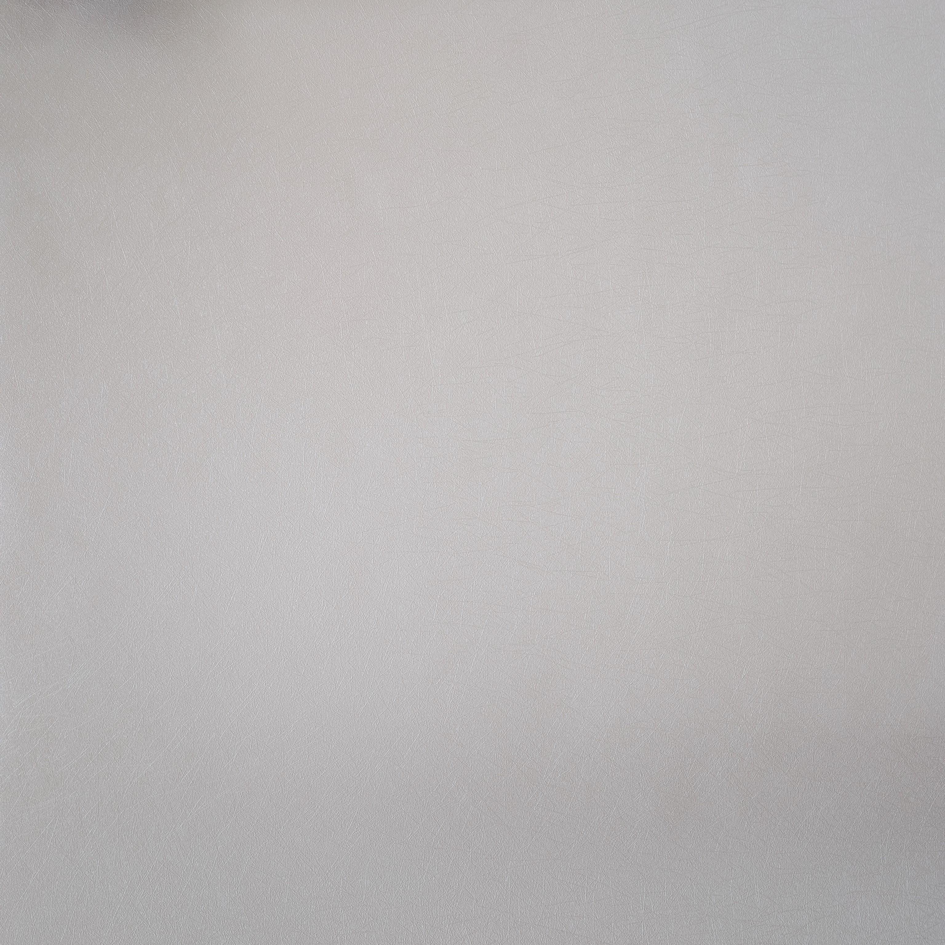 Обои виниловые на флизелиновой основе AS Creation Flower Symphonie 79042-6 Паутинка 1 м Жемчужный (79042-6)