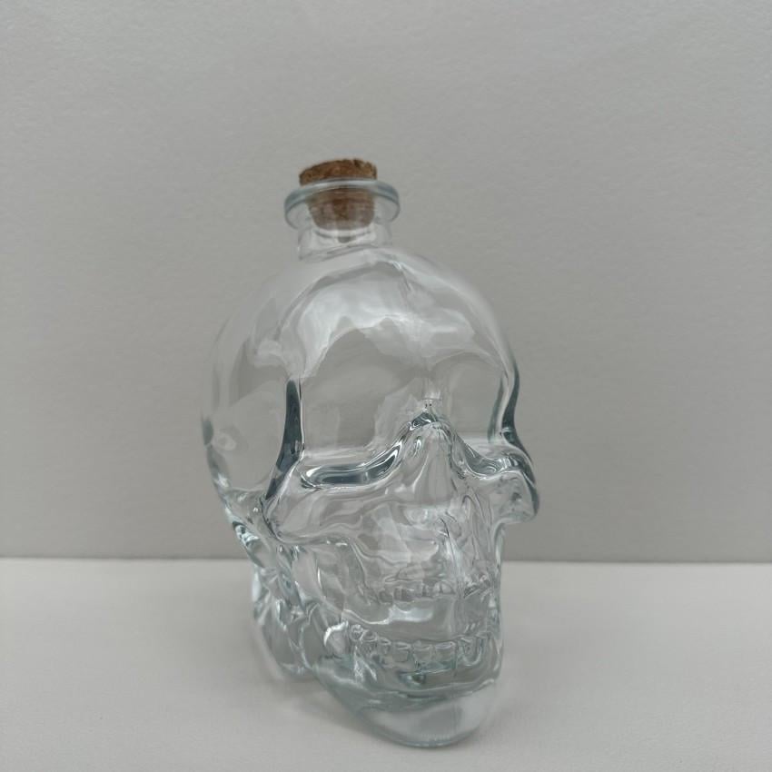 Кувшин для напоїв A-PLUS 750 WB Череп скляний 750 мл 14х10,5х16,5 см (2607335170) - фото 3