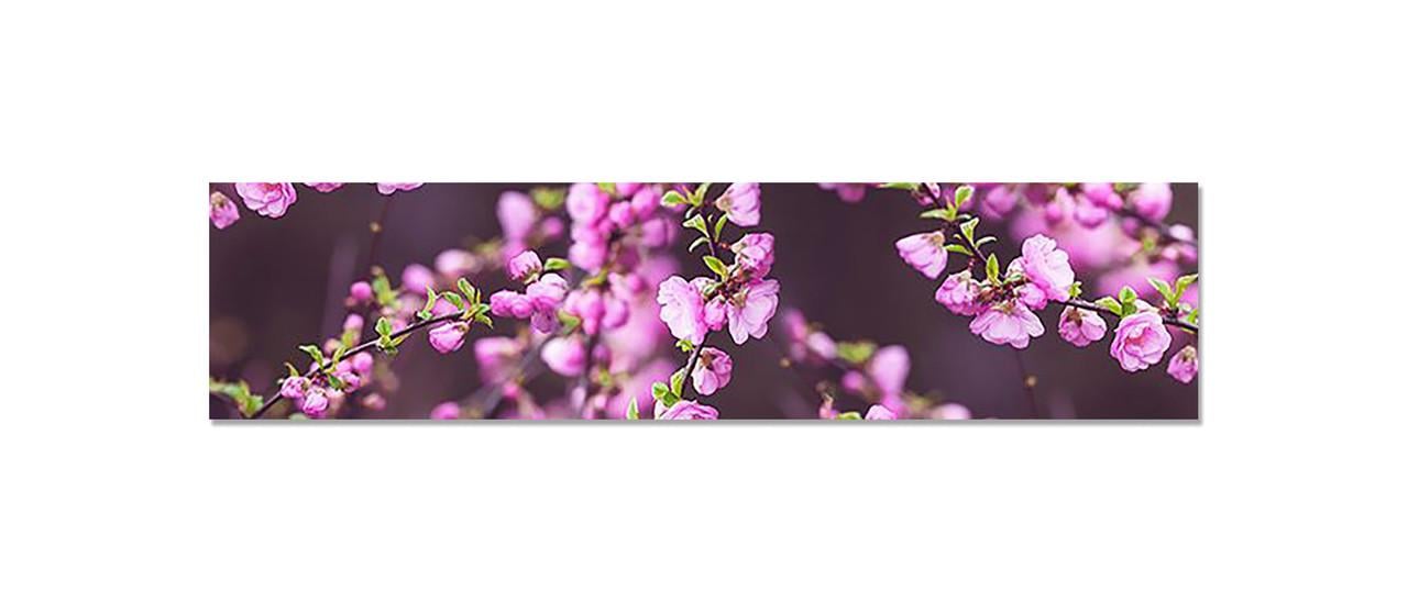 Наклейка виниловая на кухню Zatarga Цветущие ветки 600х2500 мм (1283915573)