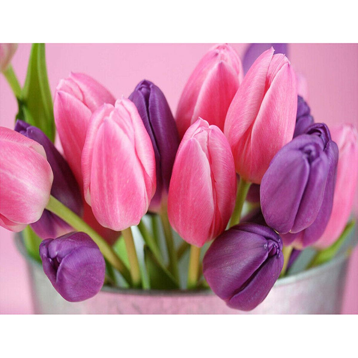 Алмазная мозаика Santi Нежные тюльпаны 30x40 см (954077)