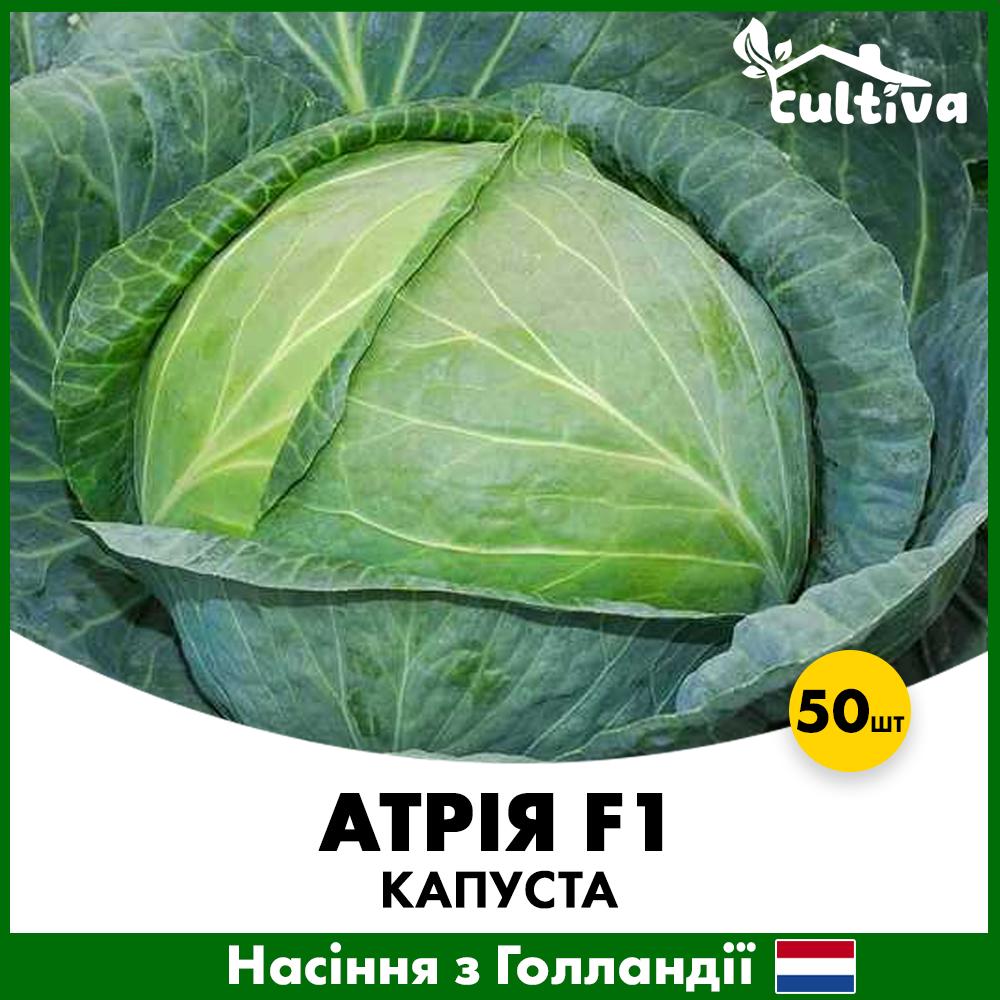 Насіння капусти Seminis Білоголова Атрія F1 50 шт. (0014750)