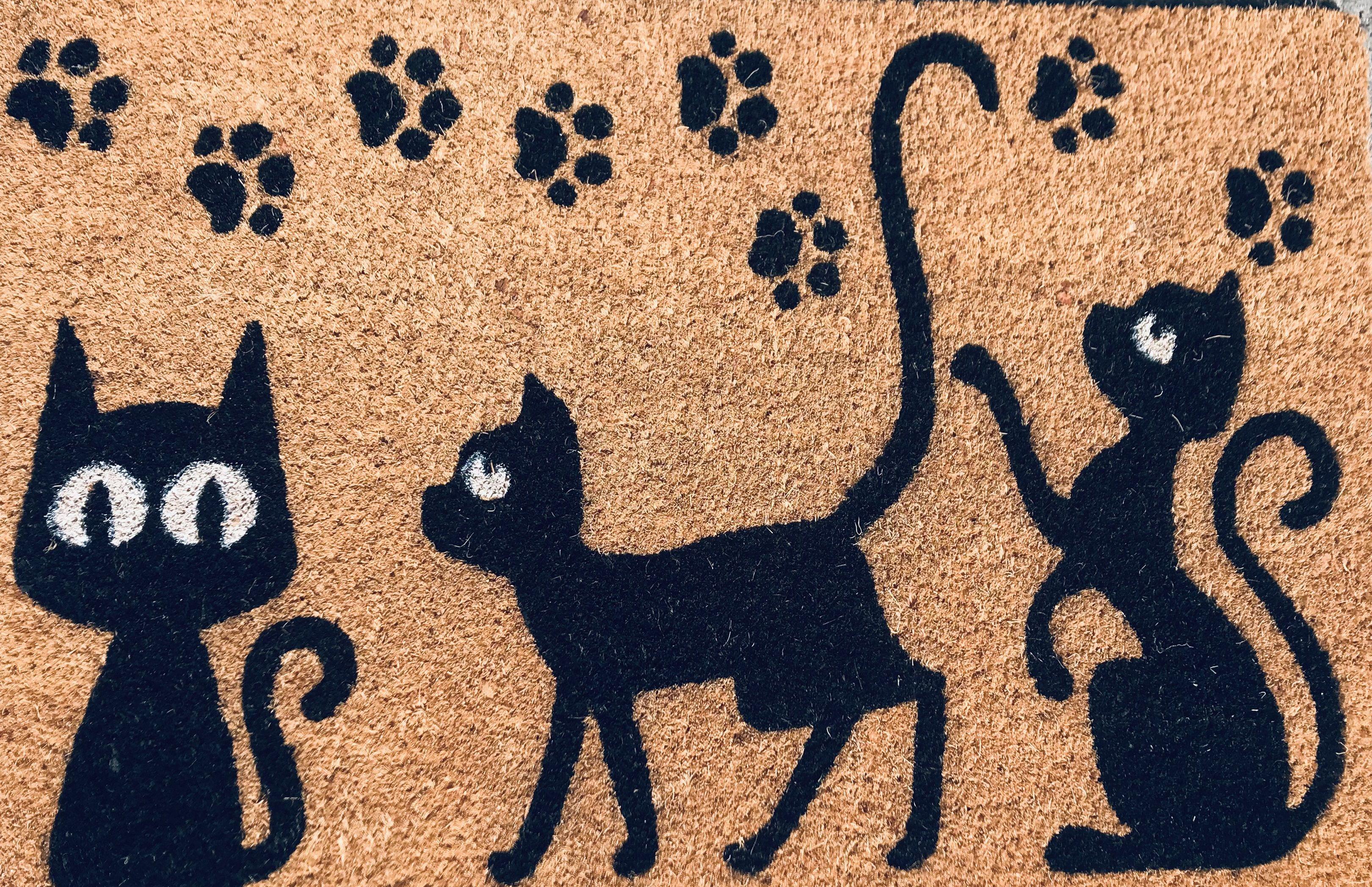 Килимок гумовий придверний Кокос Коти 40х60 см - фото 2