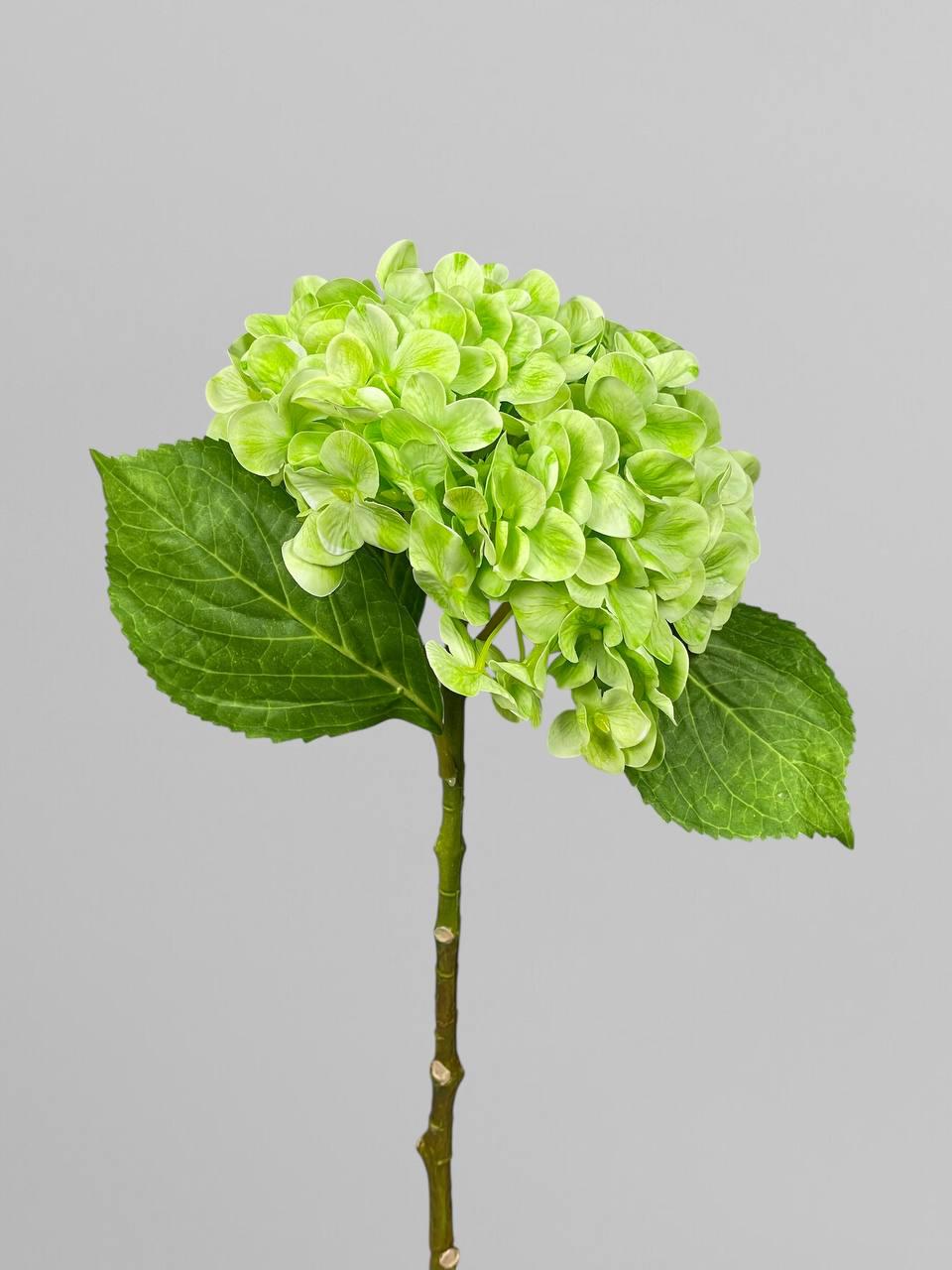 Искусственная гортензия на стебле латекс 46 см Салатовый (К03037)