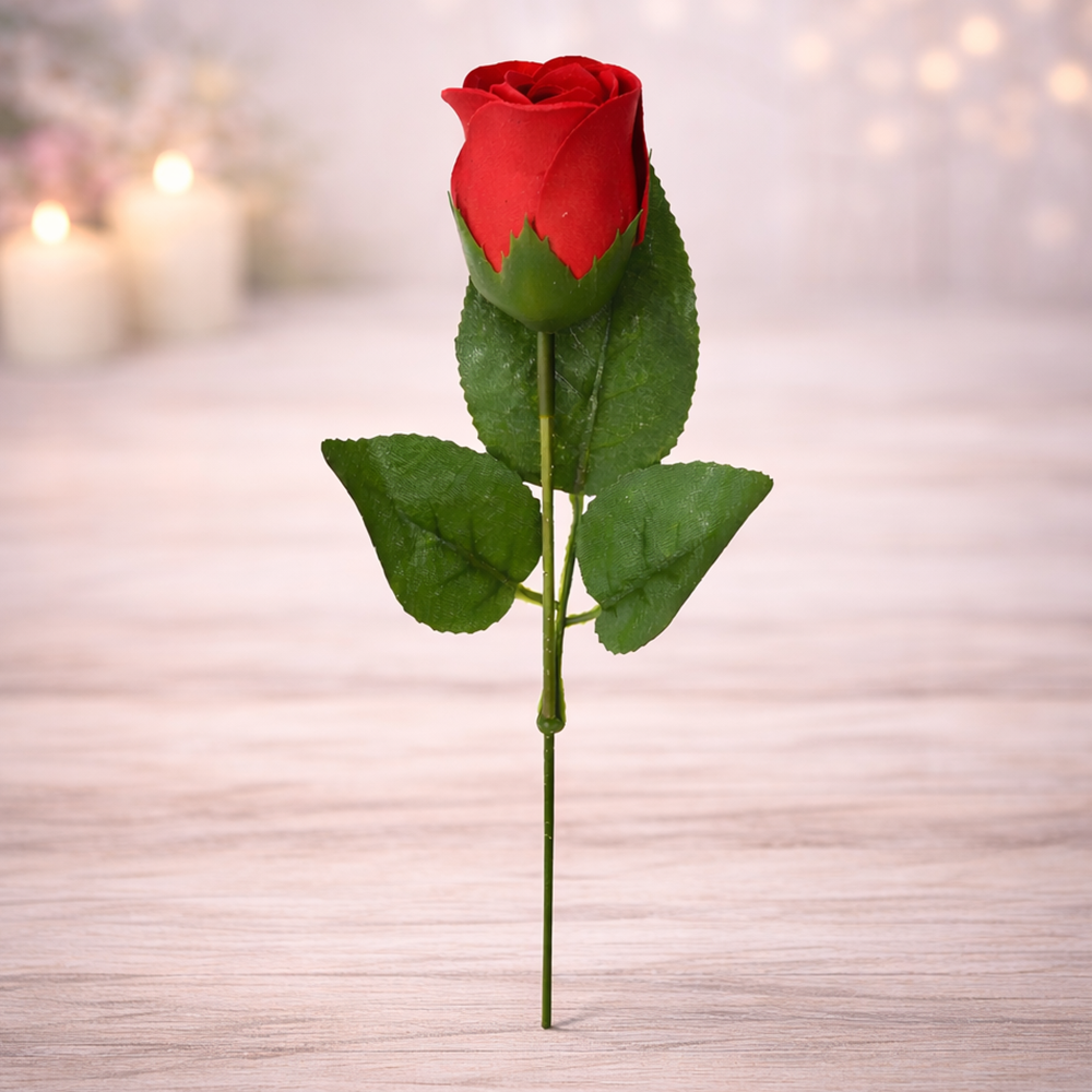 Троянда мильна в прямокутній прозорій упаковці Червоний (06-F-3-6877r)