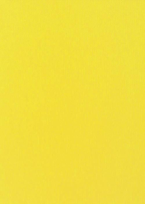 Рулонная штора NewTex Амели 45х165 см Желтый (807)