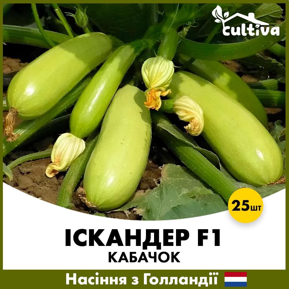 Семена кабачку Seminis Искандер F1 25 шт. (K2-25)