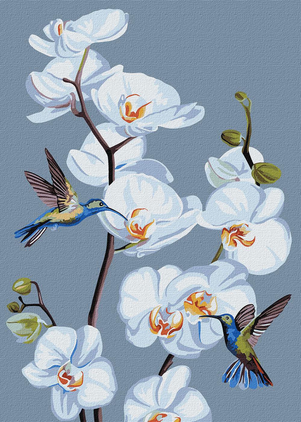 Картина по номерам Идейка Цветущие орхидеи 30х40 см (KHO3241)