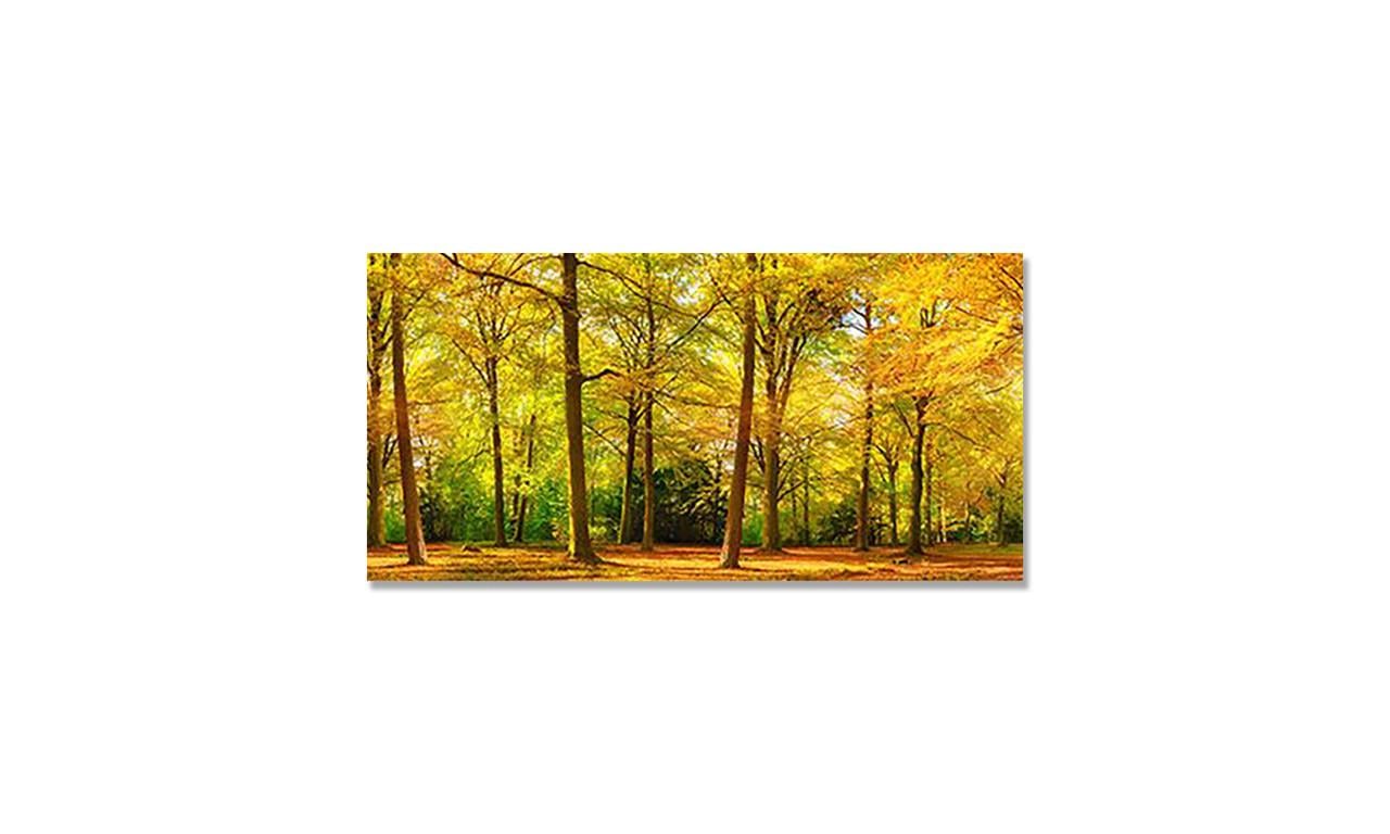 Наклейка виниловая на стол Zatarga Осенний лес 600х1200 мм (1283915515) Наклейка виниловая на стол Zatarga Осенний лес 600х1200 мм (1283915515)