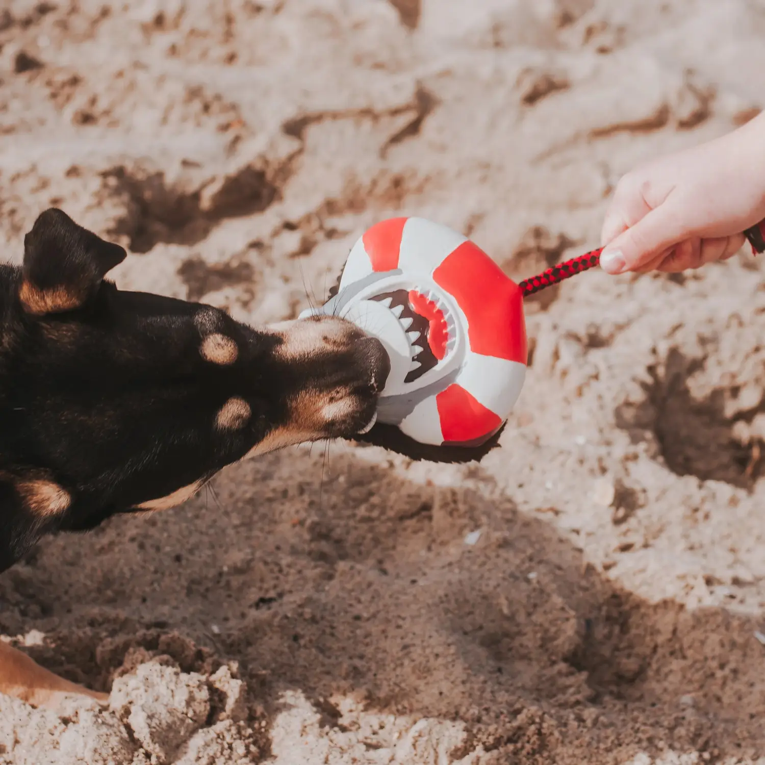 Іграшка для собак Max&Molly Snuggles Toy Frenzy the Shark (24762920) - фото 3 Іграшка для собак Max&Molly Snuggles Toy Frenzy the Shark (24762920) - фото 3