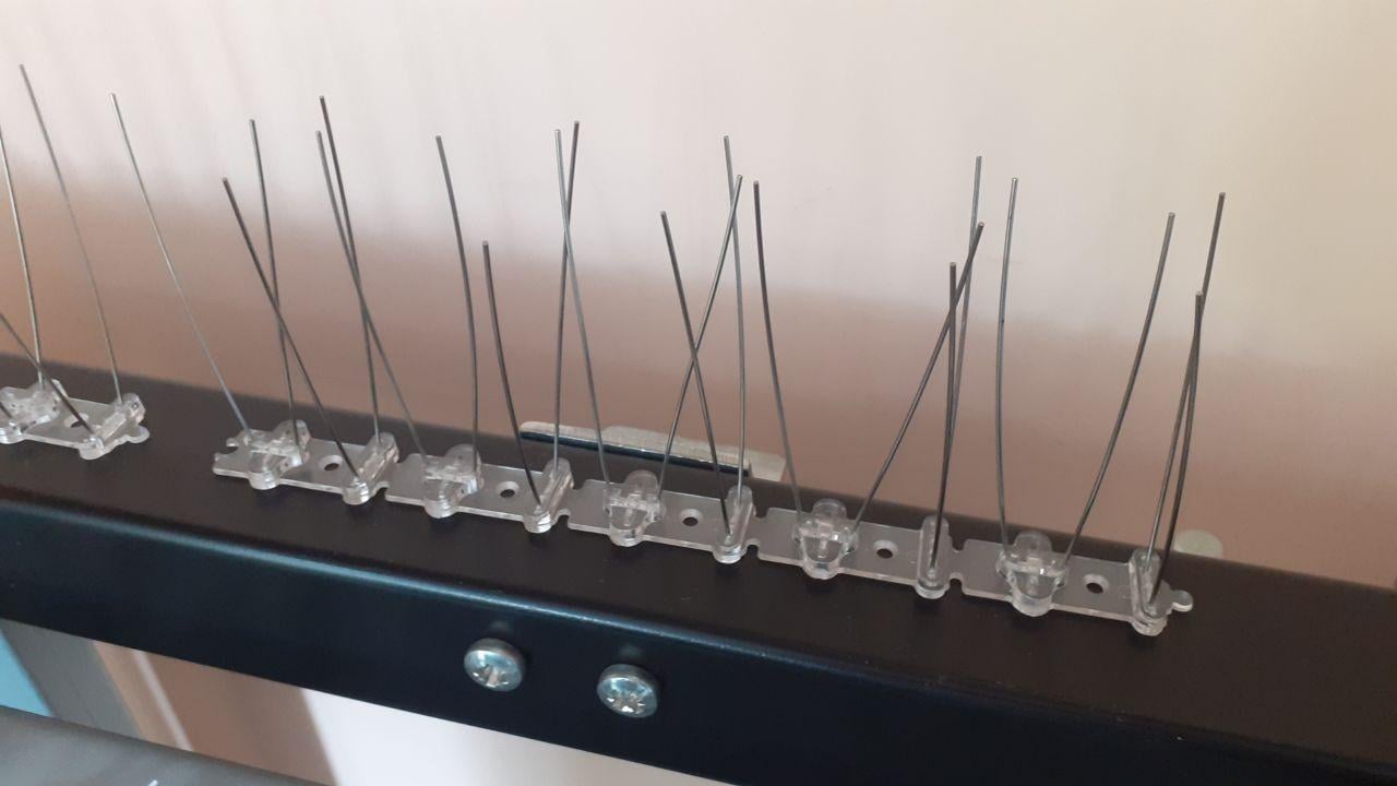 Шипи від птахів Roll Grand 0,25 м (2351303089)