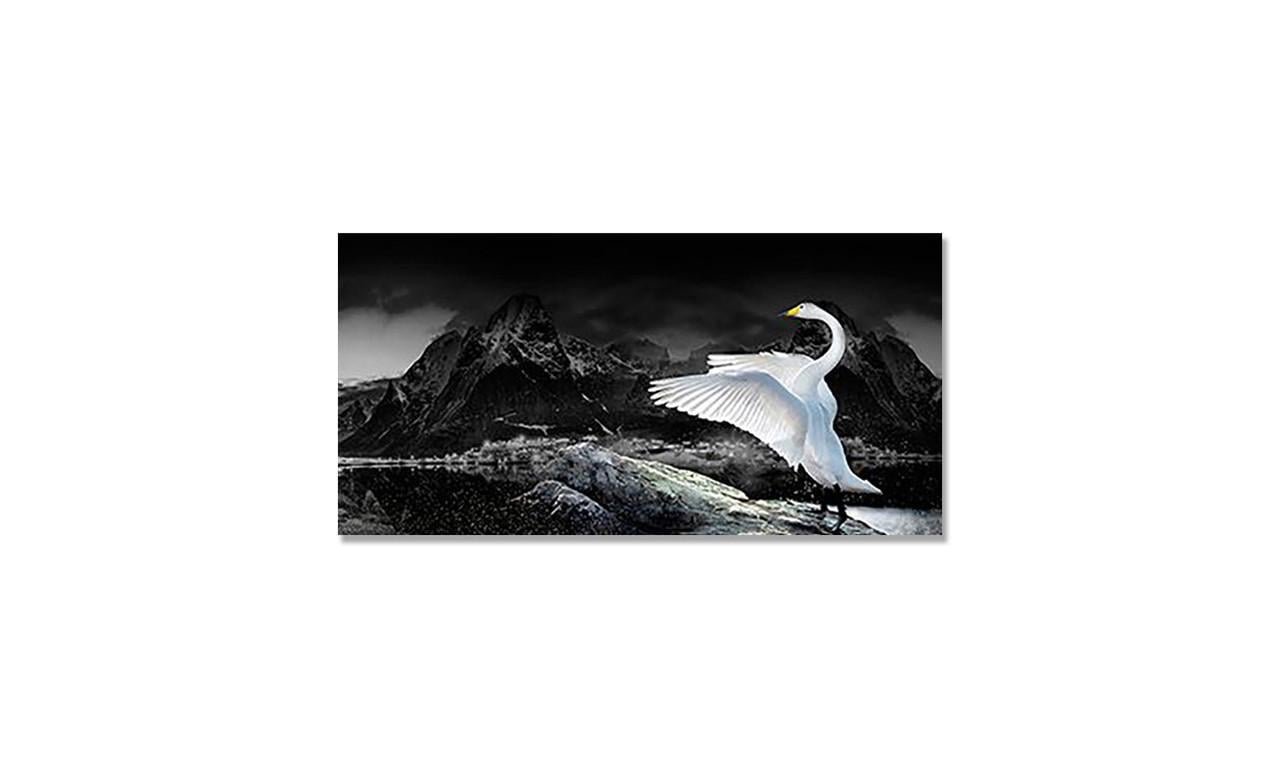 Наклейка виниловая на стол Zatarga Лебеди и Горы 600х1200 мм (1274514185)