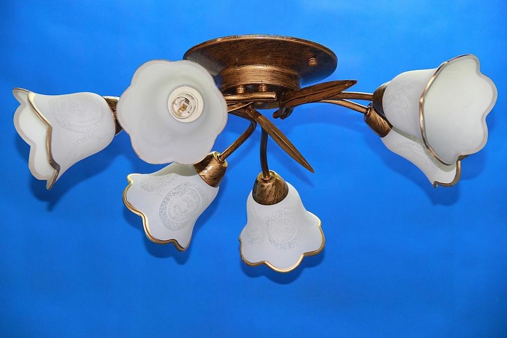 Люстра с плафонами Ray L10028/6 (IR006075)