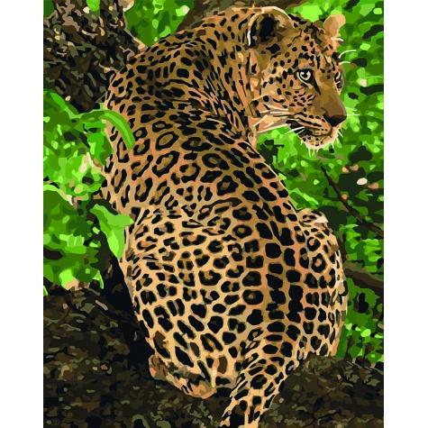 Набор для росписи по номерам Идейка Животные птицы Леопард 40х50 см (КНО4101-mt)