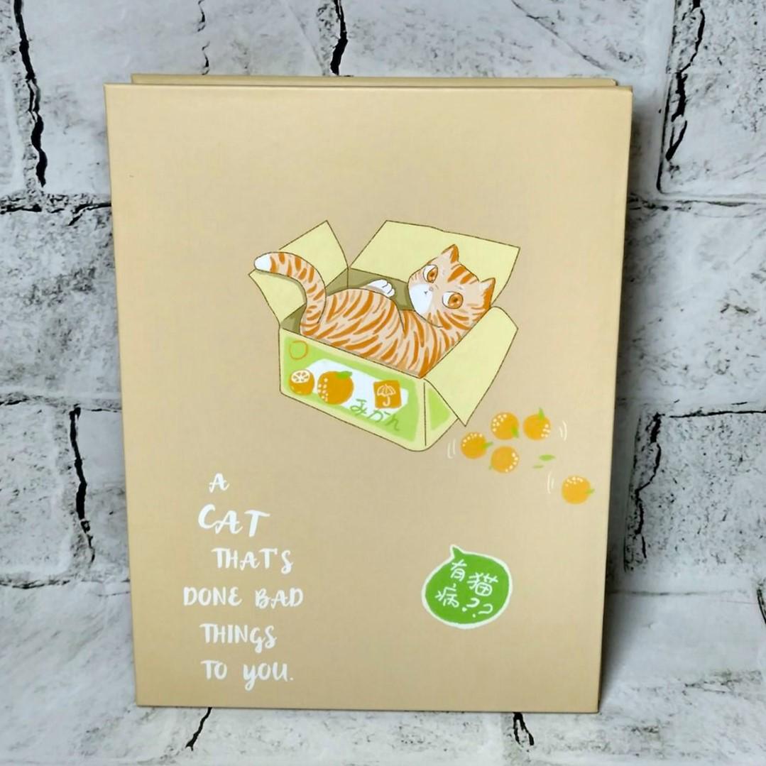 Зеркало настольное дорожное Котик 26,5х19,5,2 см Оранжевый (23-298-1) Зеркало настольное дорожное Котик 26,5х19,5,2 см Оранжевый (23-298-1)