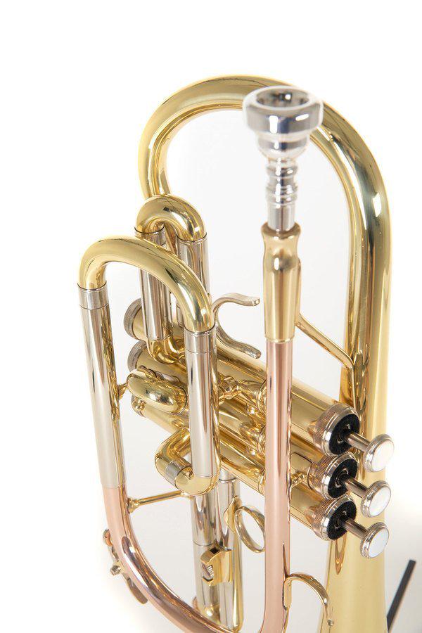 Корнет Roy Benson CR-202 Bb-Cornet (G-RB701090) - фото 7