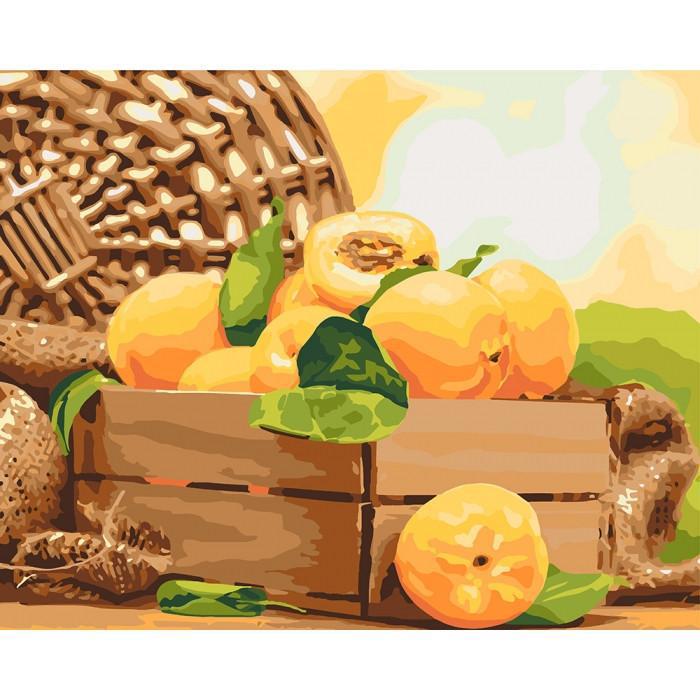 Картина по номерам Идейка "Золотистый абрикос" 40х50 см (KHO5565)