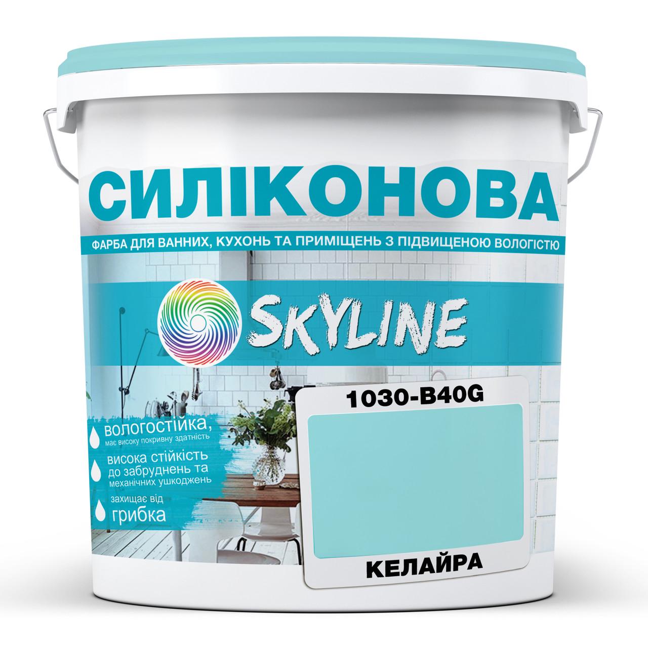 Фарба для вологих приміщень Skyline 1030-B40G силіконова 3 л Келайра (2589082058) - фото 1 Фарба для вологих приміщень Skyline 1030-B40G силіконова 3 л Келайра (2589082058) - фото 1