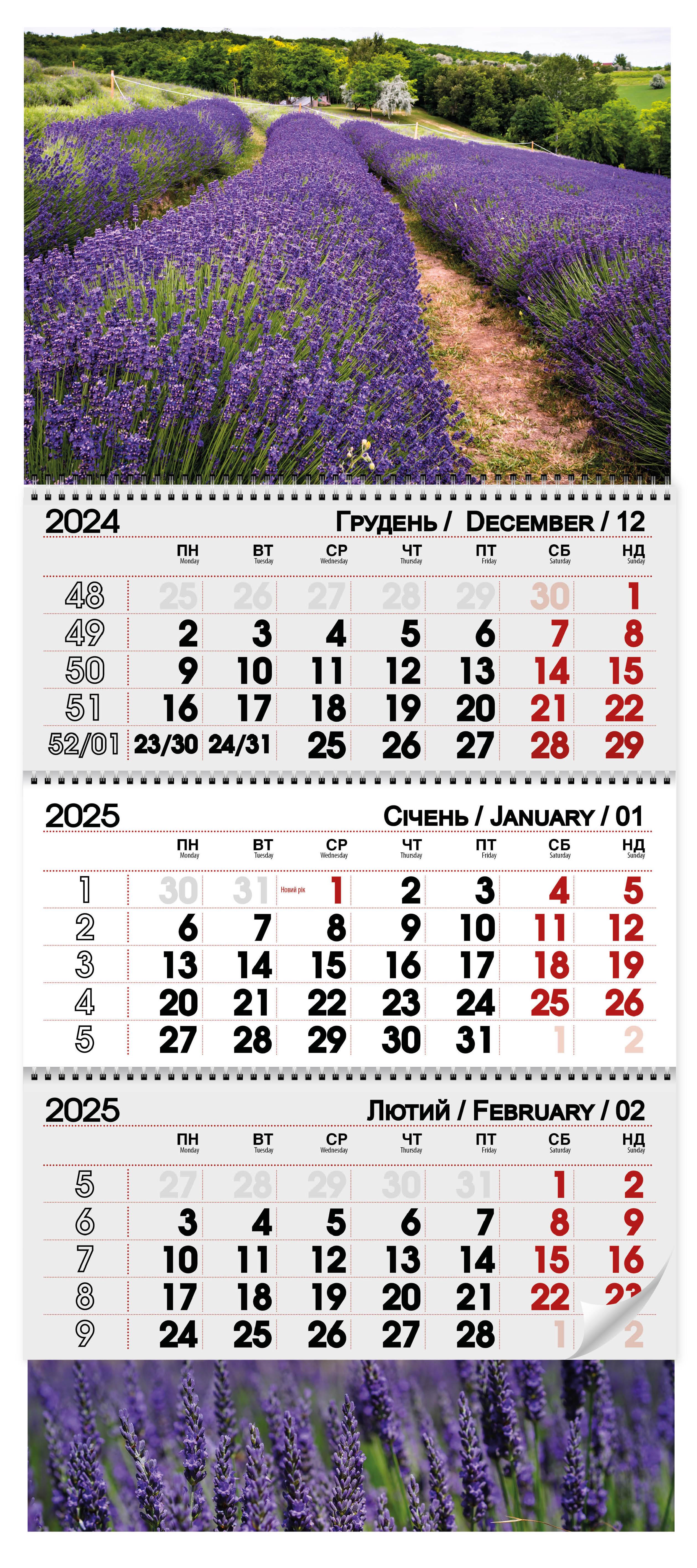 Календар 2025 Лаванда (20127023)