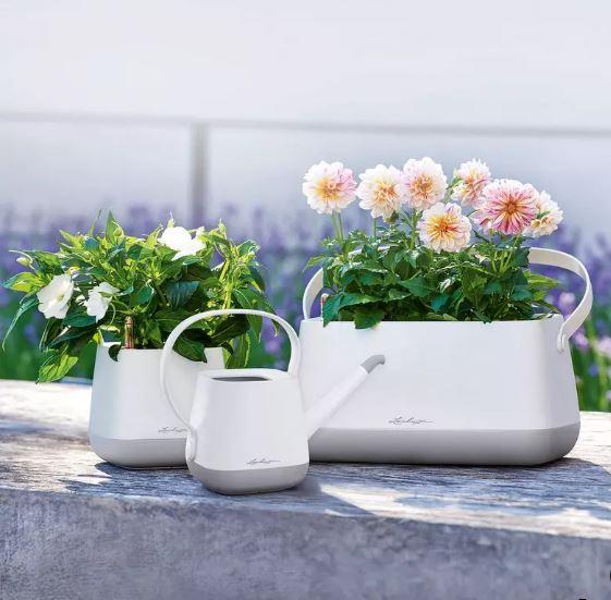 Лейка Lechuza Yula 30x14x22 см Белый/Розовый (A-013632) - фото 7 Лейка Lechuza Yula 30x14x22 см Белый/Розовый (A-013632) - фото 7