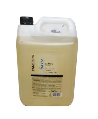 Шампунь очищаючий PROFIStyle BASIC з провітаміном В5 5000 мл (26350989)