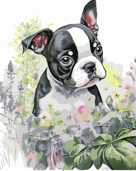 Картина по номерам Стратег Милая мордашка ss6681 30x40 см (MTT-167832)