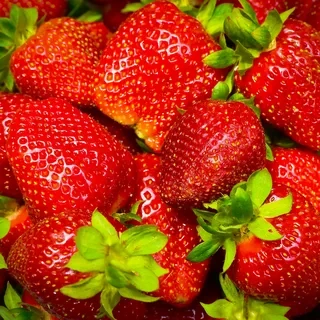 Саженец клубники Big Nancy ремонтантная (1938233199)