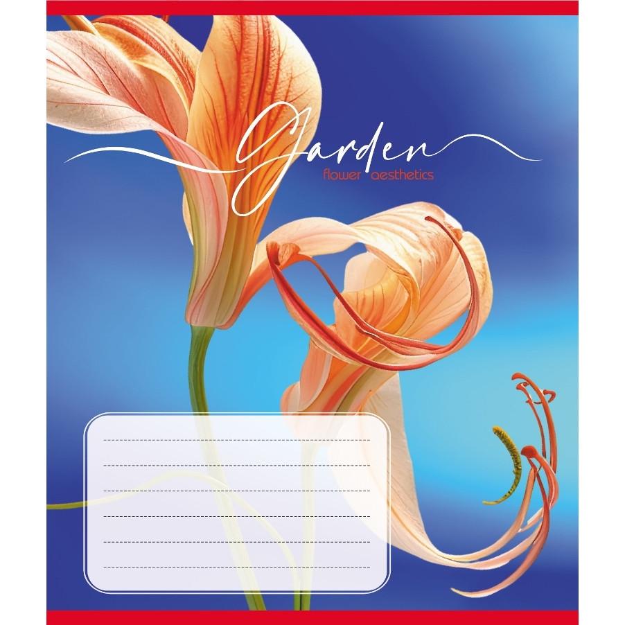 Шкільний зошит Естетика 024-550443K-1 в клітинку 24 аркуші (RLT55302)