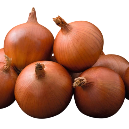 Насіння Цибуля Ріпчаста Enza Zaden CAOBA F1 250 000 шт. (1994924308) Насіння Цибуля Ріпчаста Enza Zaden CAOBA F1 250 000 шт. (1994924308)