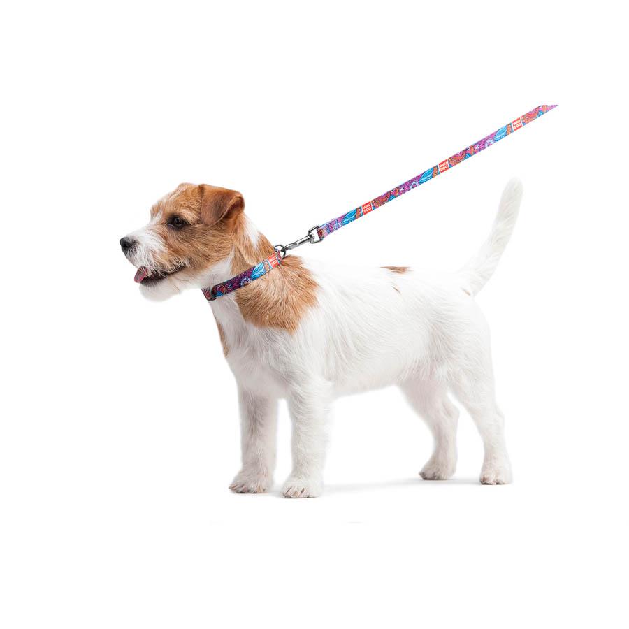 Нашийник для собак з QR-паспортом Waudog Nylon Літо пластиковий фастекс 15 мм 25-35 см Різнокольоровий (4586) - фото 6 Нашийник для собак з QR-паспортом Waudog Nylon Літо пластиковий фастекс 15 мм 25-35 см Різнокольоровий (4586) - фото 6