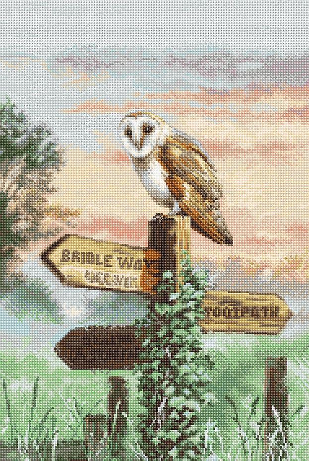 Набор для вышивки крестиком L8031 Barn Owl