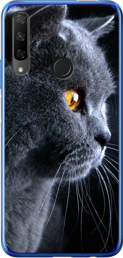 Чехол на Huawei Honor 9X Красивый кот (3038t-1746-42517)