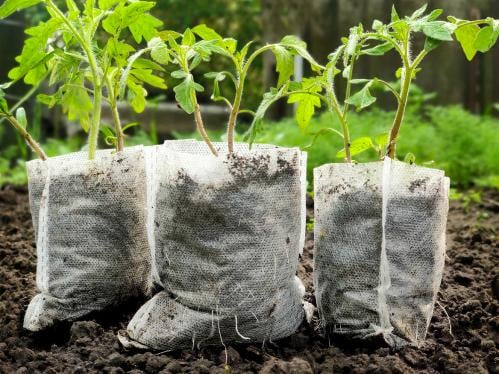 Мішечки для розсади з біорозкладного спанбонду 14х12 см 500 мл 100 шт. Білий (21746822) - фото 3 Мішечки для розсади з біорозкладного спанбонду 14х12 см 500 мл 100 шт. Білий (21746822) - фото 3