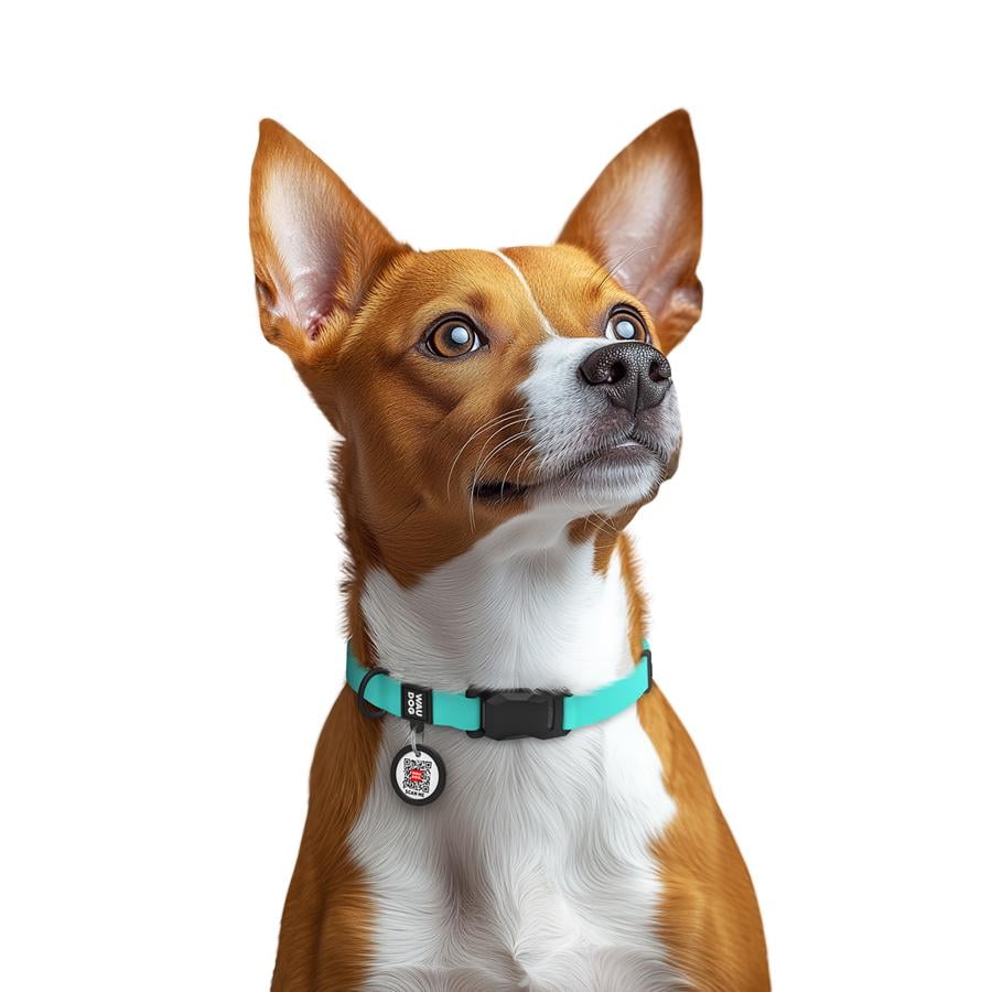 Нашийник для собак водостійкий Waudog Magnet магнітна пряжка-фастекс S 15 мм 26-35 см Turquoise (279427) - фото 4 Нашийник для собак водостійкий Waudog Magnet магнітна пряжка-фастекс S 15 мм 26-35 см Turquoise (279427) - фото 4