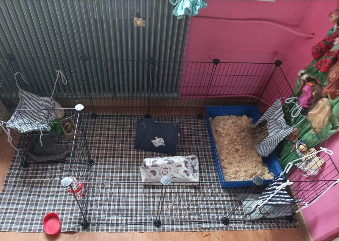 Клітка для гризунів 46х143х73 см - фото 21 Клітка для гризунів 46х143х73 см - фото 21